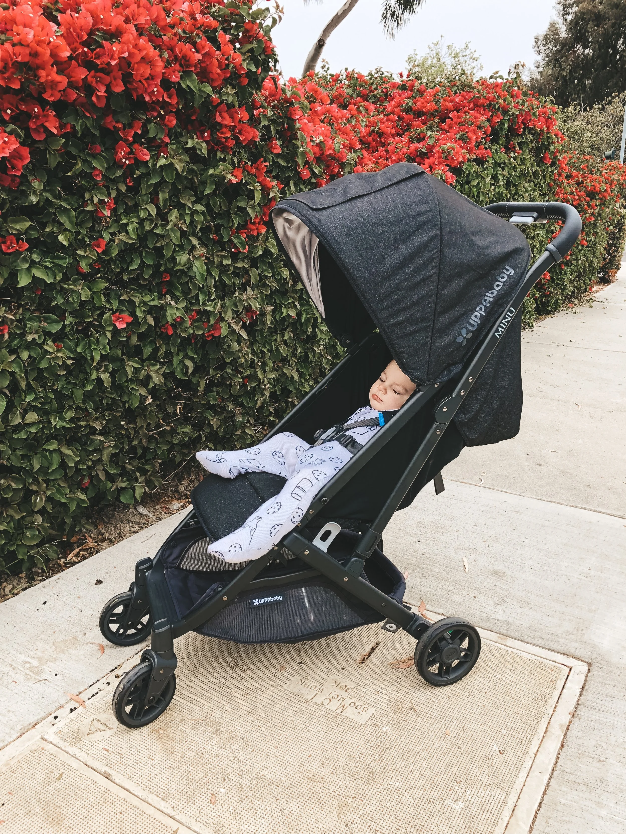 Minu uppababy shop review
